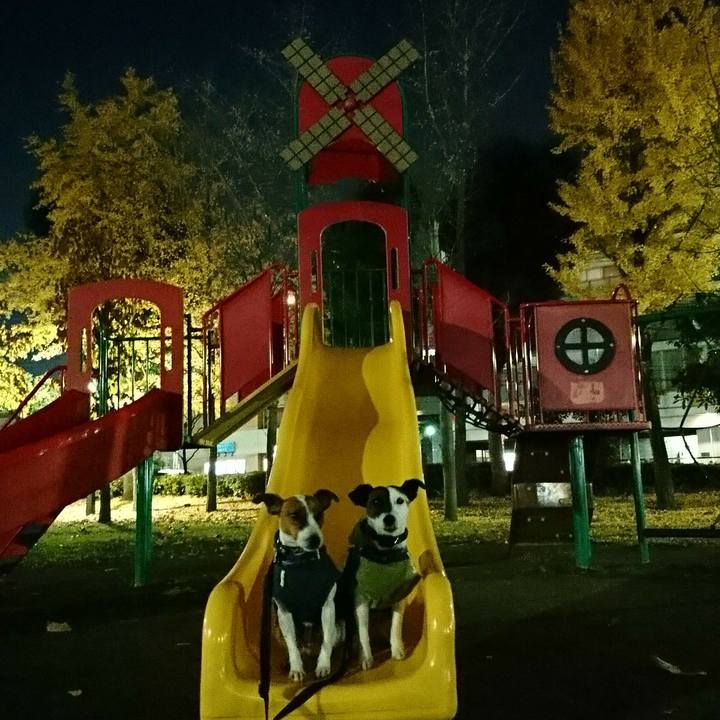 050c1753 9110 4a4b 8e86 c67e6ada57da 1544262168238