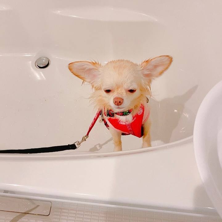 050c17ea 664b 4d98 88c7 2e4da29d2283 1626257078497