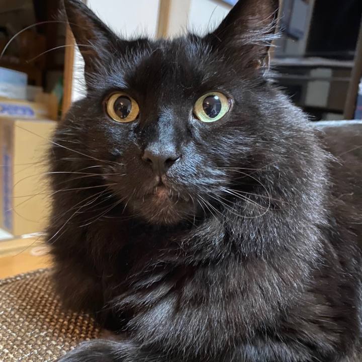 050c2a33 9025 43d7 aeb9 519d577848f8 1612855990927