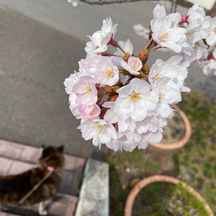 050c2a99 5776 41d4 b625 fd26b41e5423 1649681930411