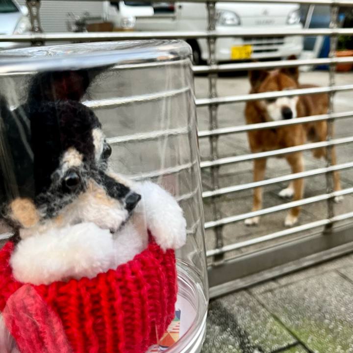 050c45e5 e08d 433a b0ff 7a2afc817a9a 1667944291736