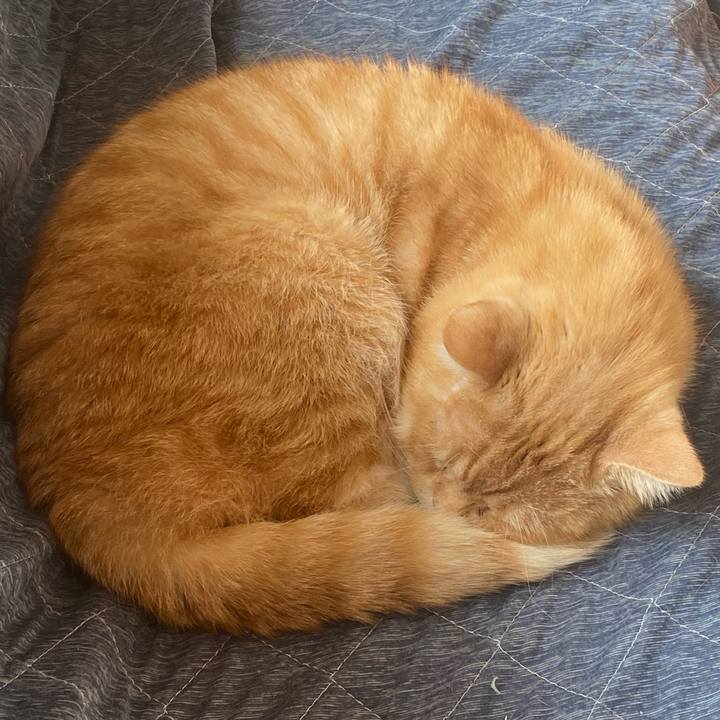 050c55b3 5e55 4759 bb60 c5057fb51713 1638157375918