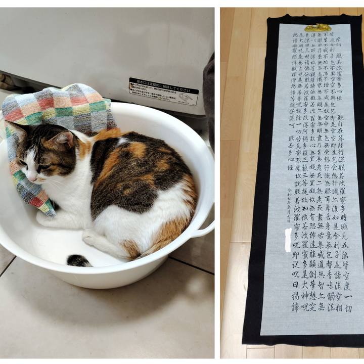 050c63fd 9905 44be 914c 0d605d243294 1746435088498