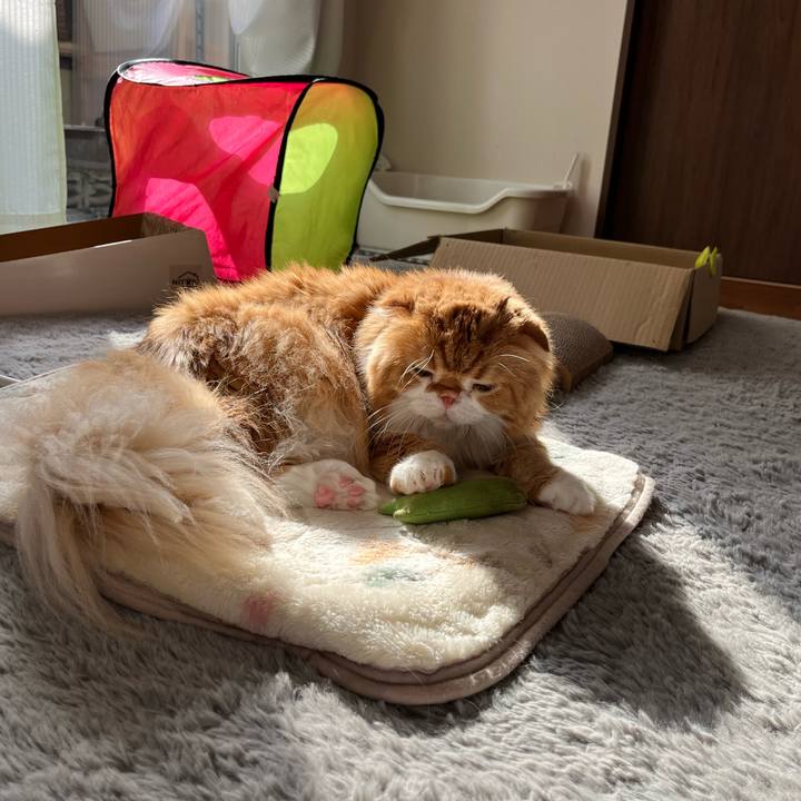 050c6b79 a1b4 4abc a607 62c79c18b0b0 1768620332109