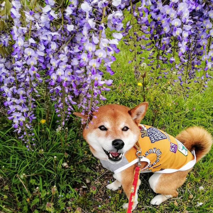 050cc202 d57a 485f 9684 7c654943c5f8 1618633674190