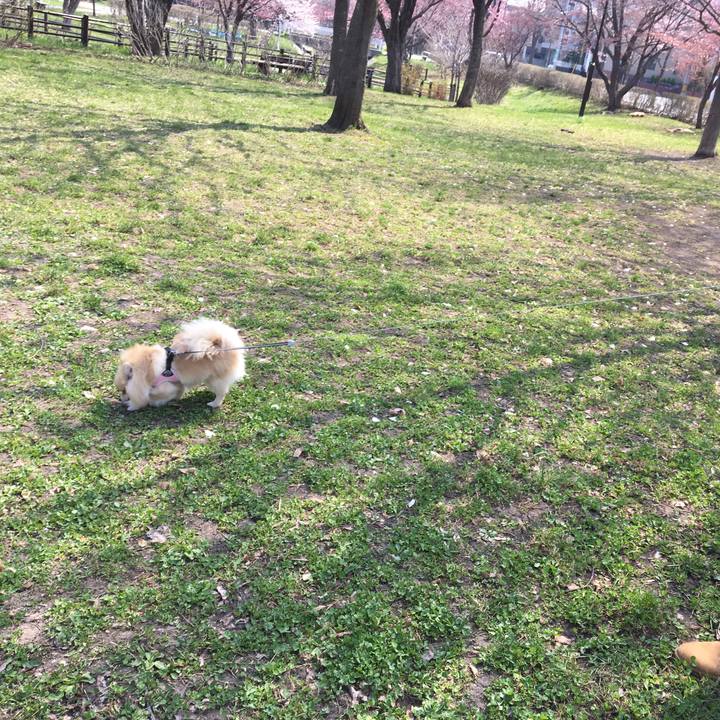 050cc5ea 7105 4447 9639 0d153cbf40a2 1524976471148