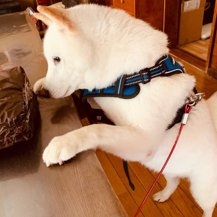 050d5829 f5a6 4d5a be63 b600ca9d777b 1627084218789