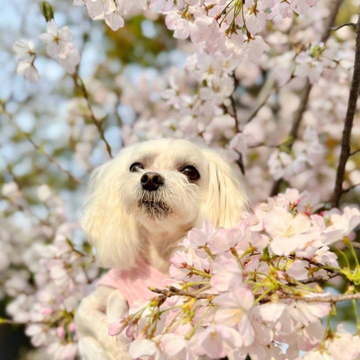 050d7362 af2b 4883 96cc bf9ccac7c439 1743153765631