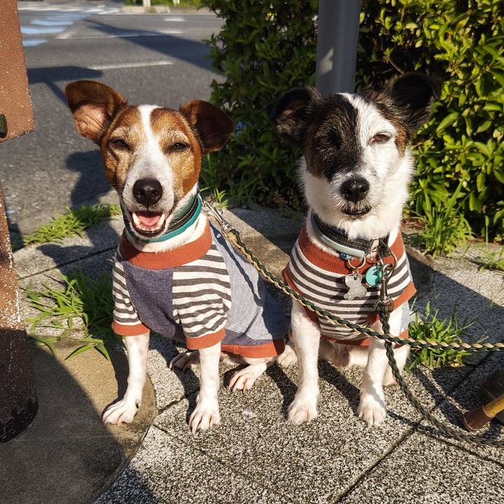 050d7643 d696 49f8 b9f8 fb28f0d81a1f 1751147949690