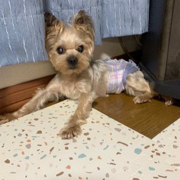 050e4961 d28c 42c3 ad1c b0668aa66bb7 1664186505772