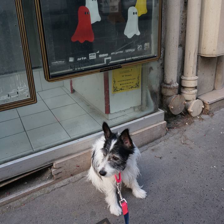 050e645e 0197 438f 99b1 e56fd1939f22 1541921361939