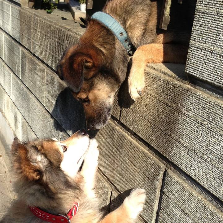 050e658d d73f 490e ac2e 20f572bf3338 1583285813127