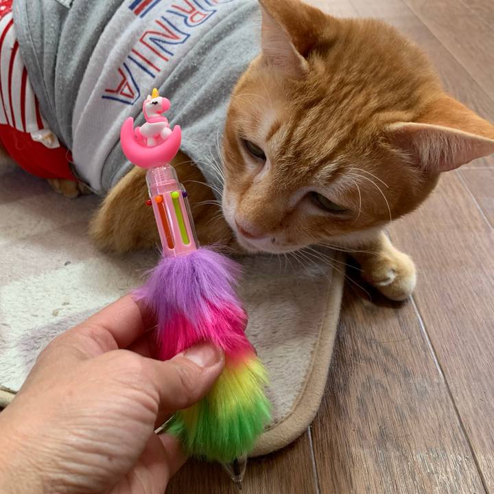 050e724b 4ad9 413c a893 7250688af70d 1620034743423