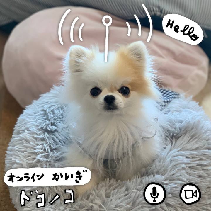 050e825d 8dd9 4148 9070 9ca486f91d53 1590755702664