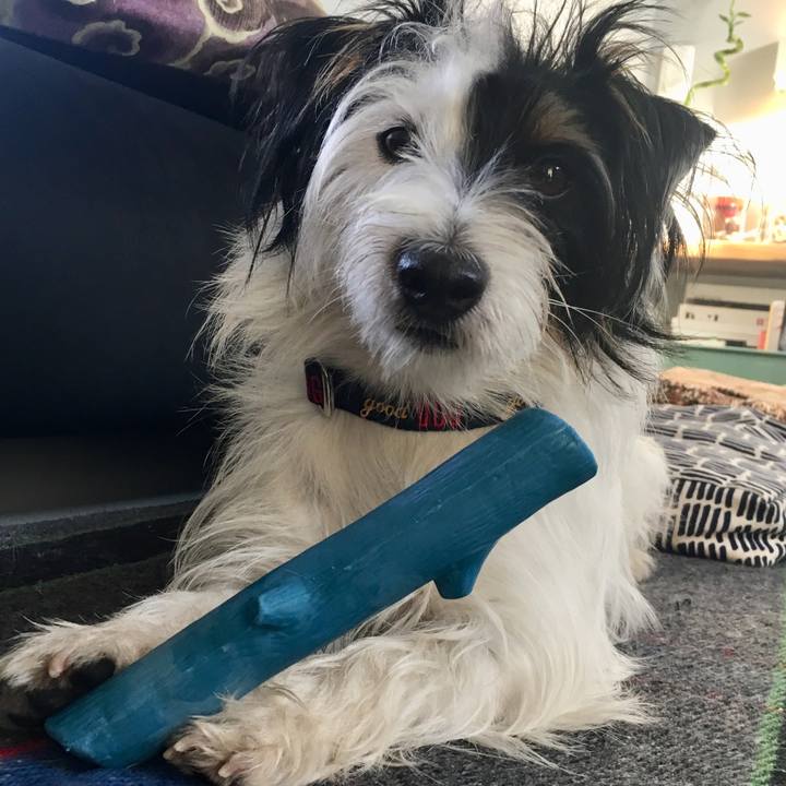 050e9eb8 2bcb 48be a143 f572428e23f0 1514153316323