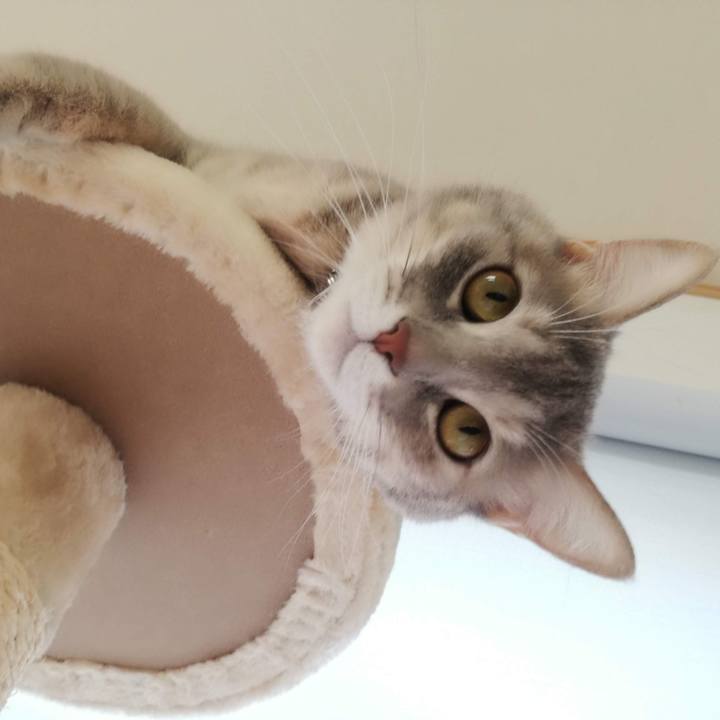 050eca3f 4309 4f07 98e4 8e7d87d25fff 1542269760028