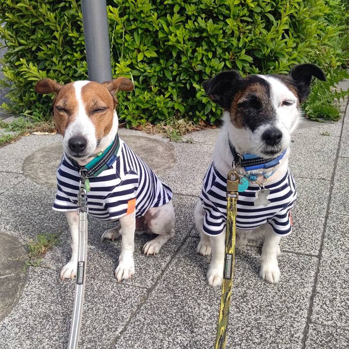 050ef26a b833 416c bb80 72f09d2a2d56 1685227832895