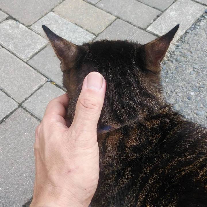 050f37de b5c0 4232 9305 254534f18777 1600146155481