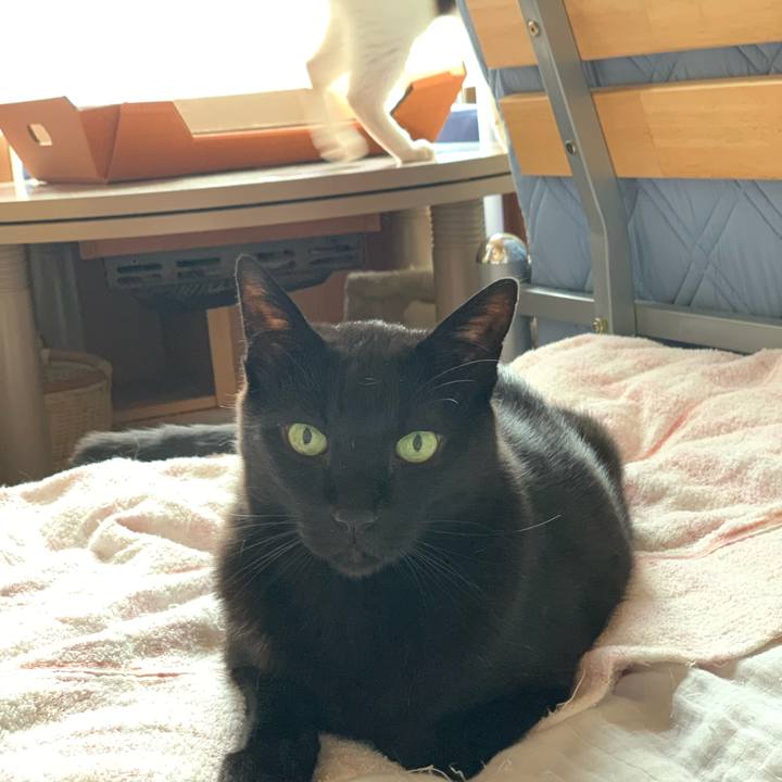 050f38d3 8671 4925 b7c5 db7496385169 1593653229812