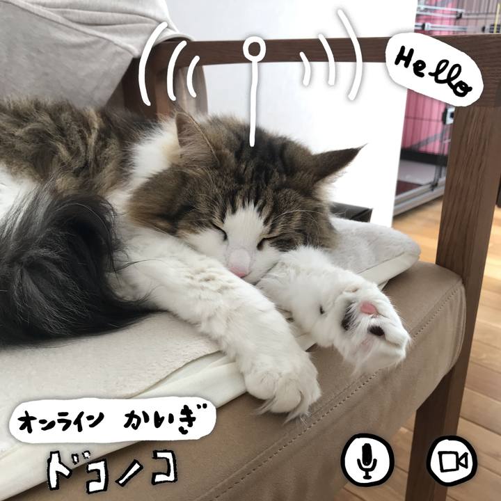 050f4114 ad99 4710 b5f2 4b5eb6c0fd2a 1590814069618