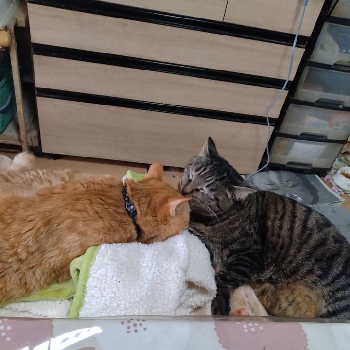 050f915e b898 4ca0 8593 5a3e50ecdc16 1674785811560