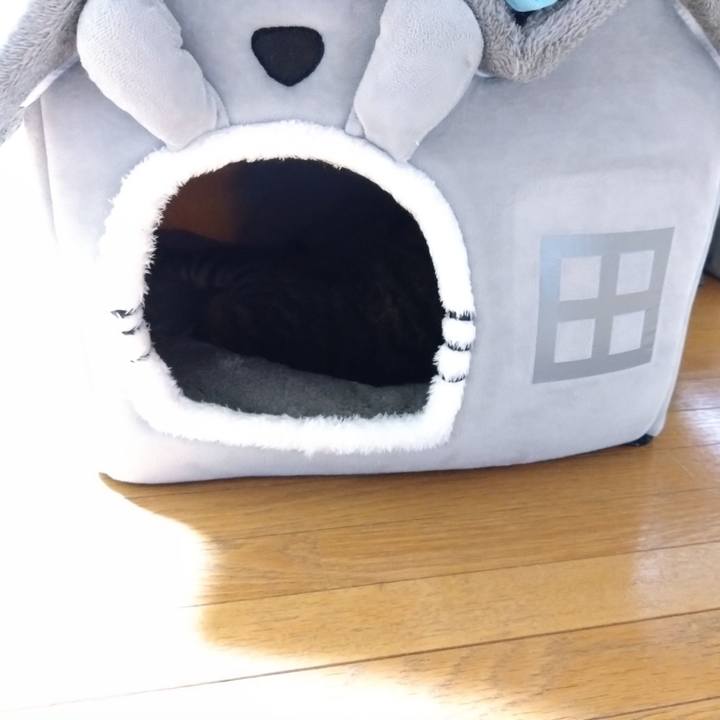 050f9e45 ac8f 435d 9004 8f3ee3c9aab1 1760003373570