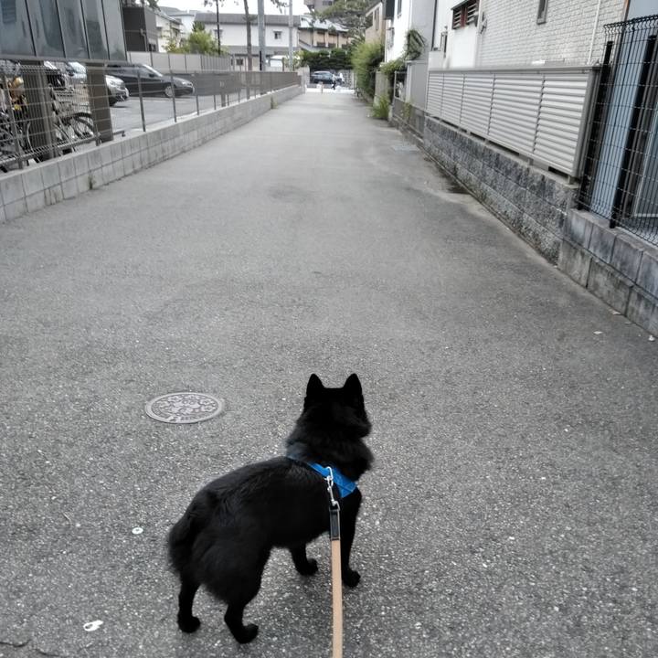 050fa083 1696 4ef7 af70 945c49aba759 1563918380795