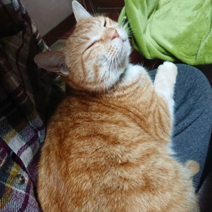 050fc7b6 6b92 4d43 9e58 19f1e91e20b3 1582423814272