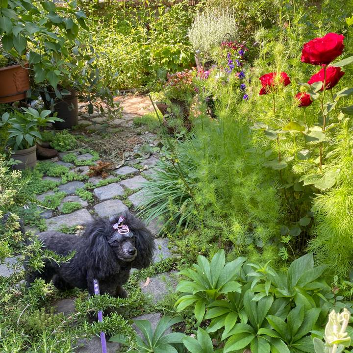 050fcf4d e5ed 42dd 89e6 27f787cce188 1714863712154