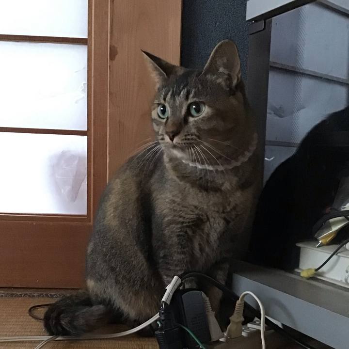 050fd28e 87ef 4e6a b2a6 c6290056083c 1659776615764