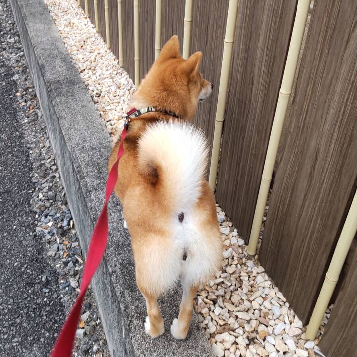 050fdd29 b13c 4487 b6af 70696a4a1cfa 1658911226604