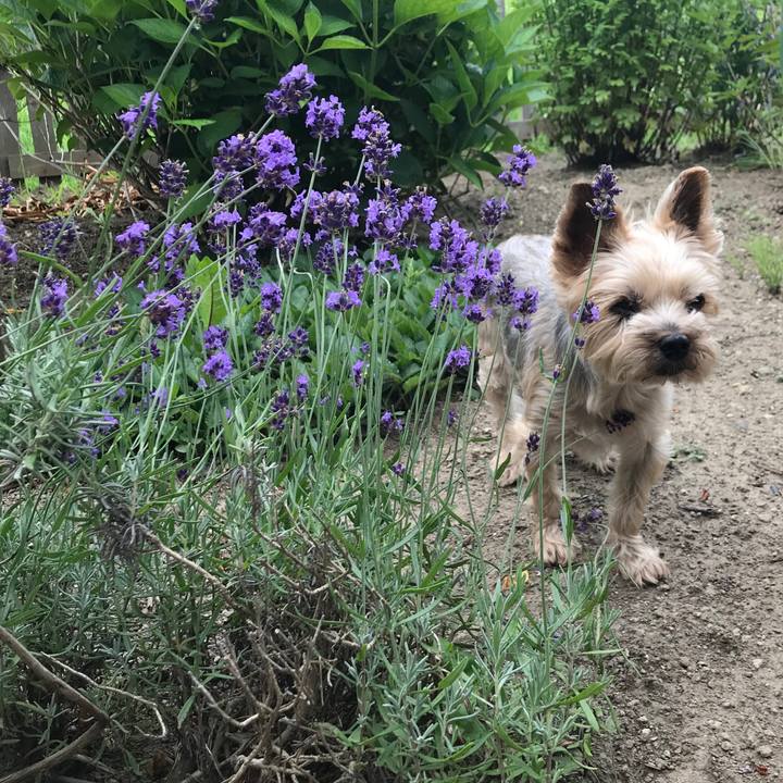 051020b3 f22b 42dd 89a2 4a138461409a 1595325112294