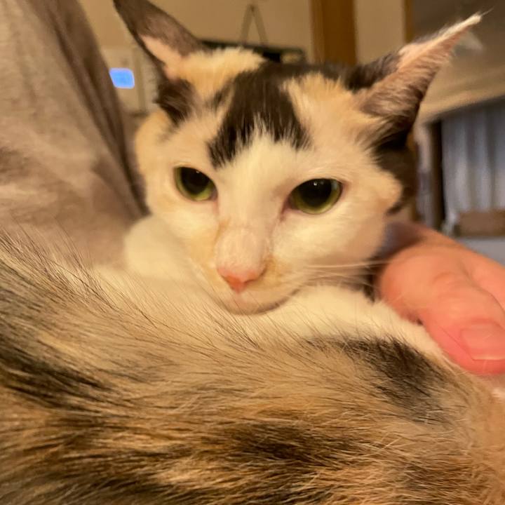 05104c44 9bd7 47f0 b496 ffe365fc56b1 1728527451310