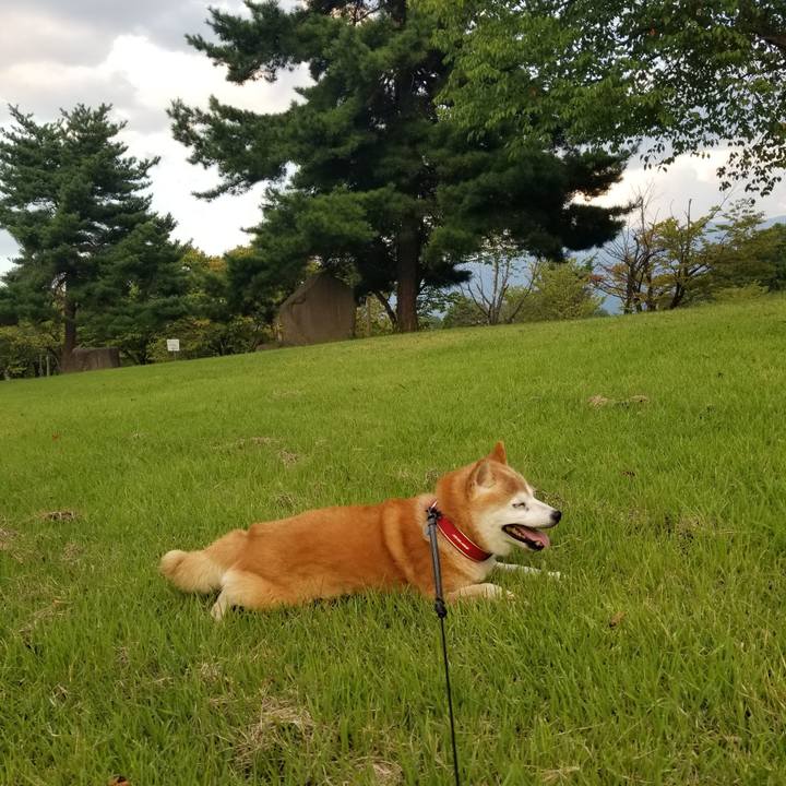 05107ff7 d3de 4e66 b9e1 6fad63f2abd2 1726302660526