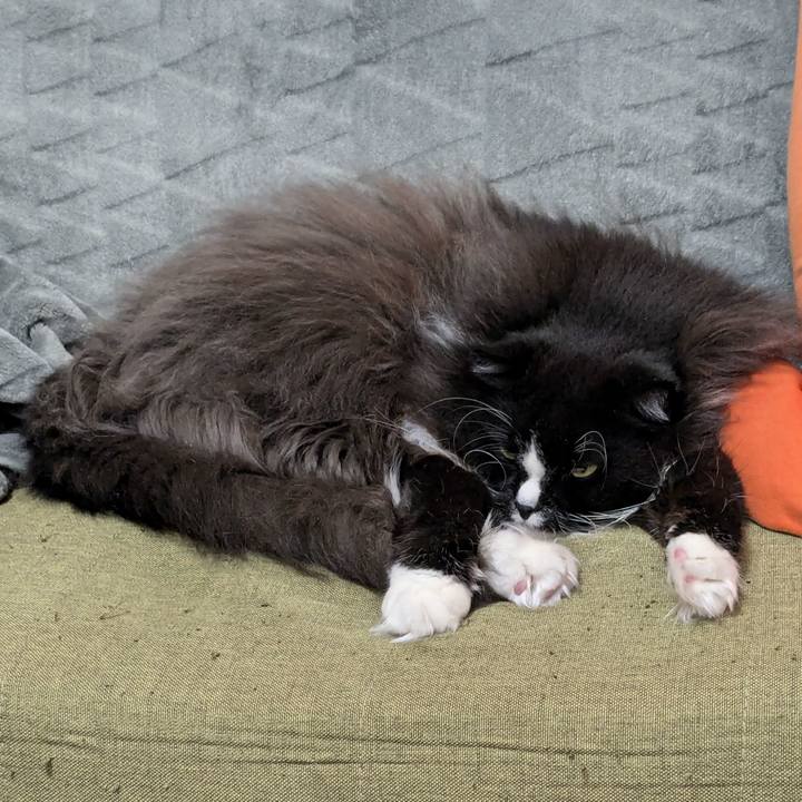 05110c5f c857 4423 8976 0cb56aa6d38e 1732274511264