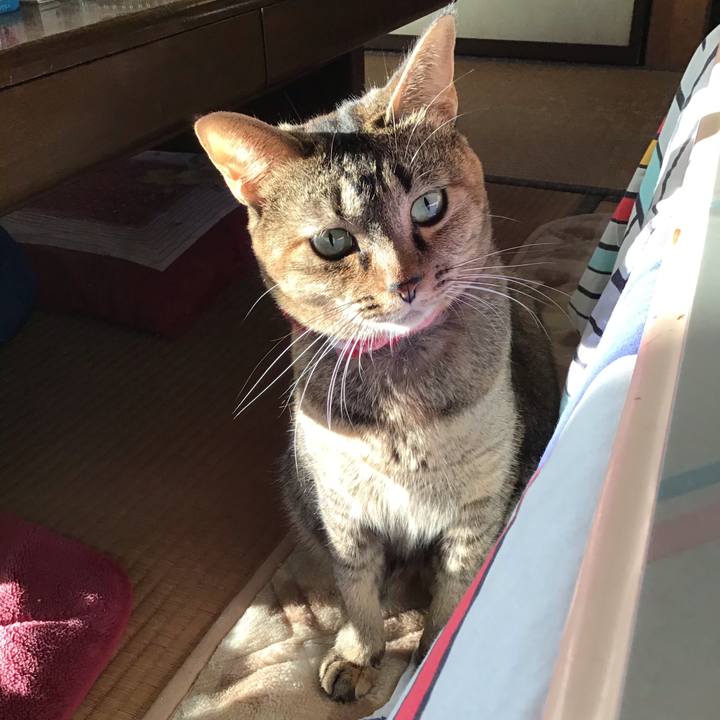 05111615 25dc 45da ad0b 9db0a9549a2c 1604560790275