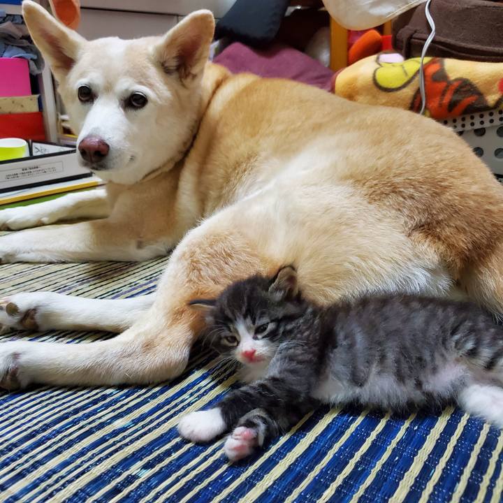 05114e00 3d58 4166 99ae cda2caf9d32b 1624189544283