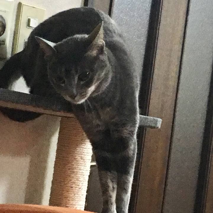 05115148 2cdb 48db bab2 b686d6383fb6 1548426765251