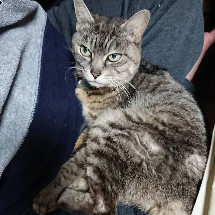 0511624b 0e3f 4ac2 ac2c ec425f374a78 1554497078854