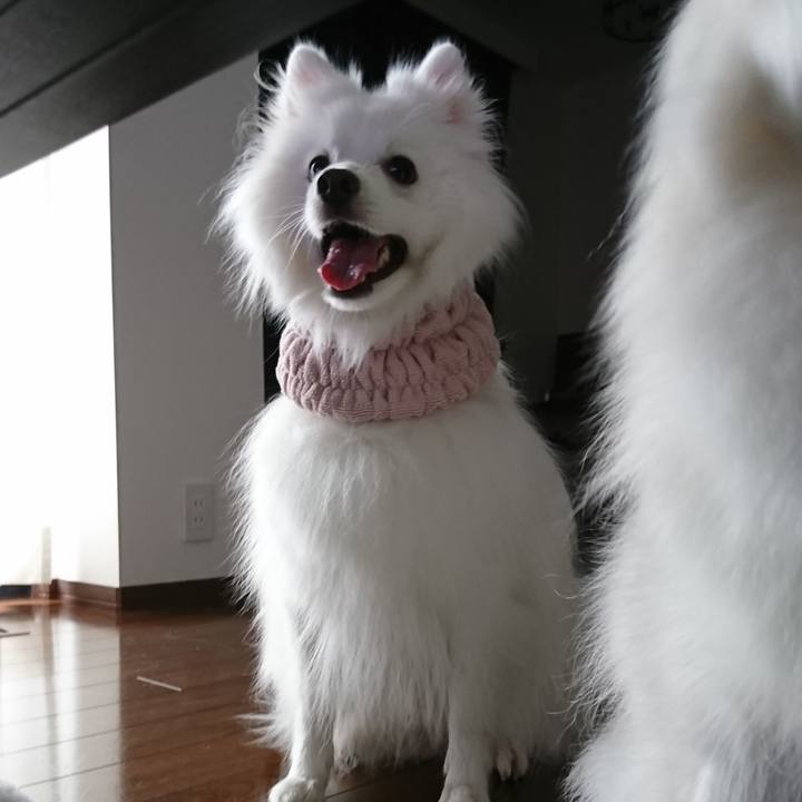 051170f2 cf41 418c b5ae 964375952713 1600226707118