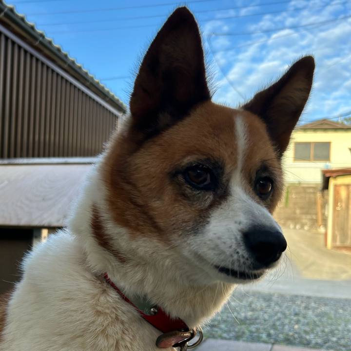 0511b084 3b18 4bc4 9543 33792e73cb53 1759960018246