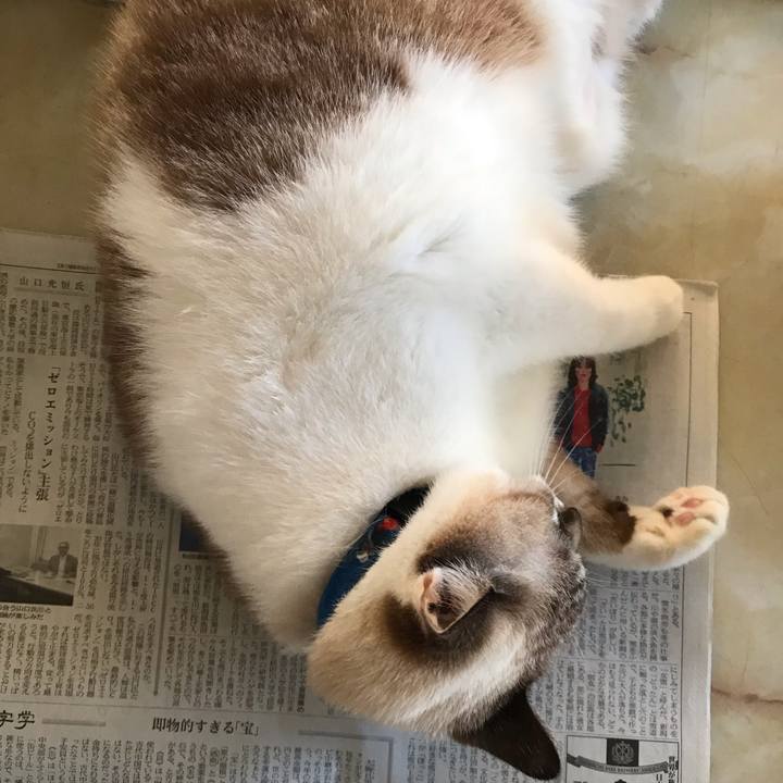 0511ba1b 9256 47e9 9f63 6a1880980d07 1546232015322