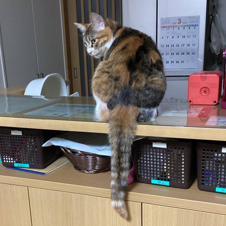 05121f45 a327 4e3f b4e8 9ff1d0c83455 1646391051073