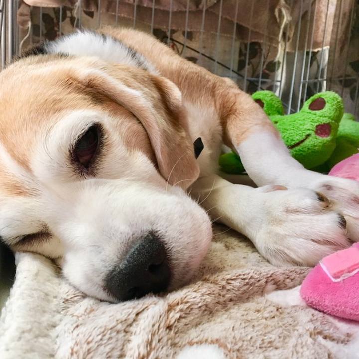 05123a97 a84c 44bd b437 e77689c70eee 1558583107655