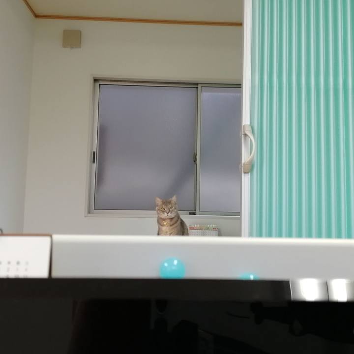 051241ce 80d6 4988 88db 58aaf46ef69b 1554101931799