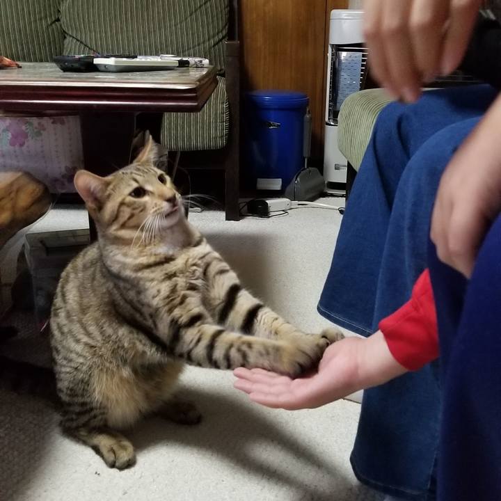 0512633d 50b7 4682 8aaf 94974f212d0e 1571729355545