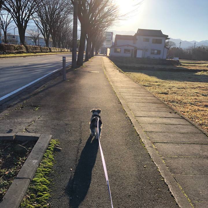 0512639e bc42 428c 825b 23449cae7cff 1703908334494