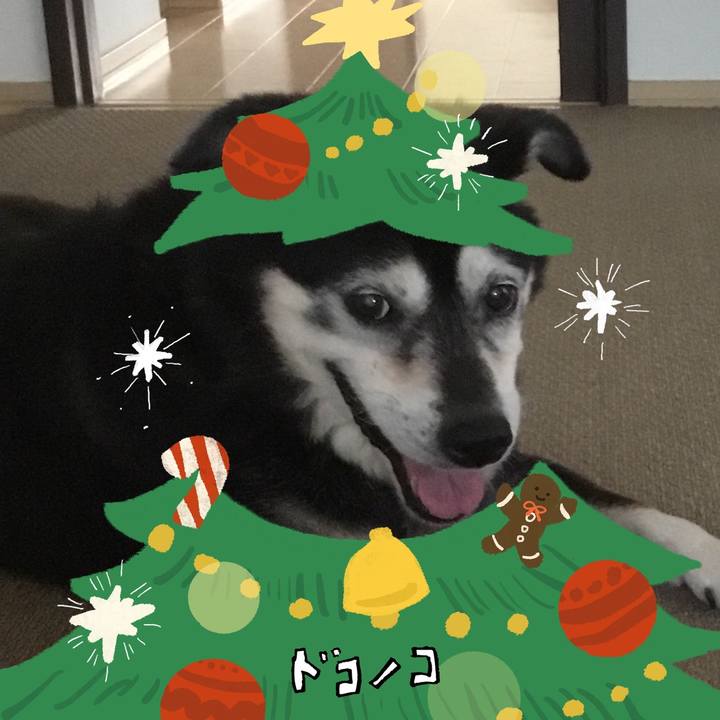 05127e9b 5fa3 45ce 8f39 8f5600199da5 1762848597477