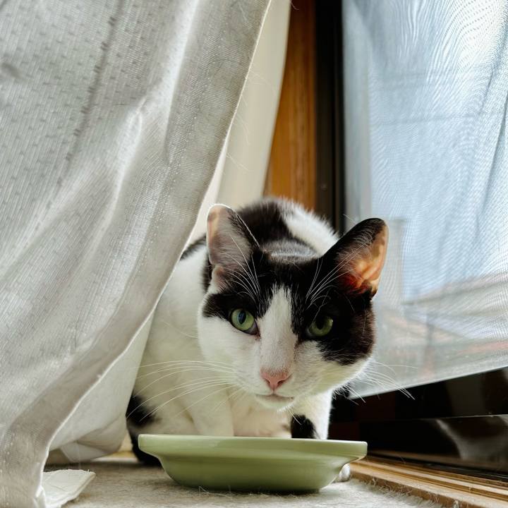 0512958a 74e4 4eca 804f 5cc672ce40aa 1689830726833