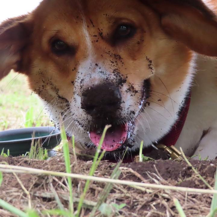 0512b6ec 2909 4ed7 b47c 9b1b905e1e6a 1625995282232